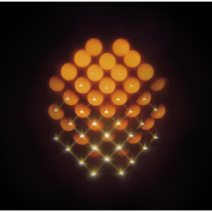 Waste of Space Orchestra - Syntheosis