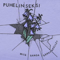 Puhelinseksi - Mitä sanoa särkyneelle?