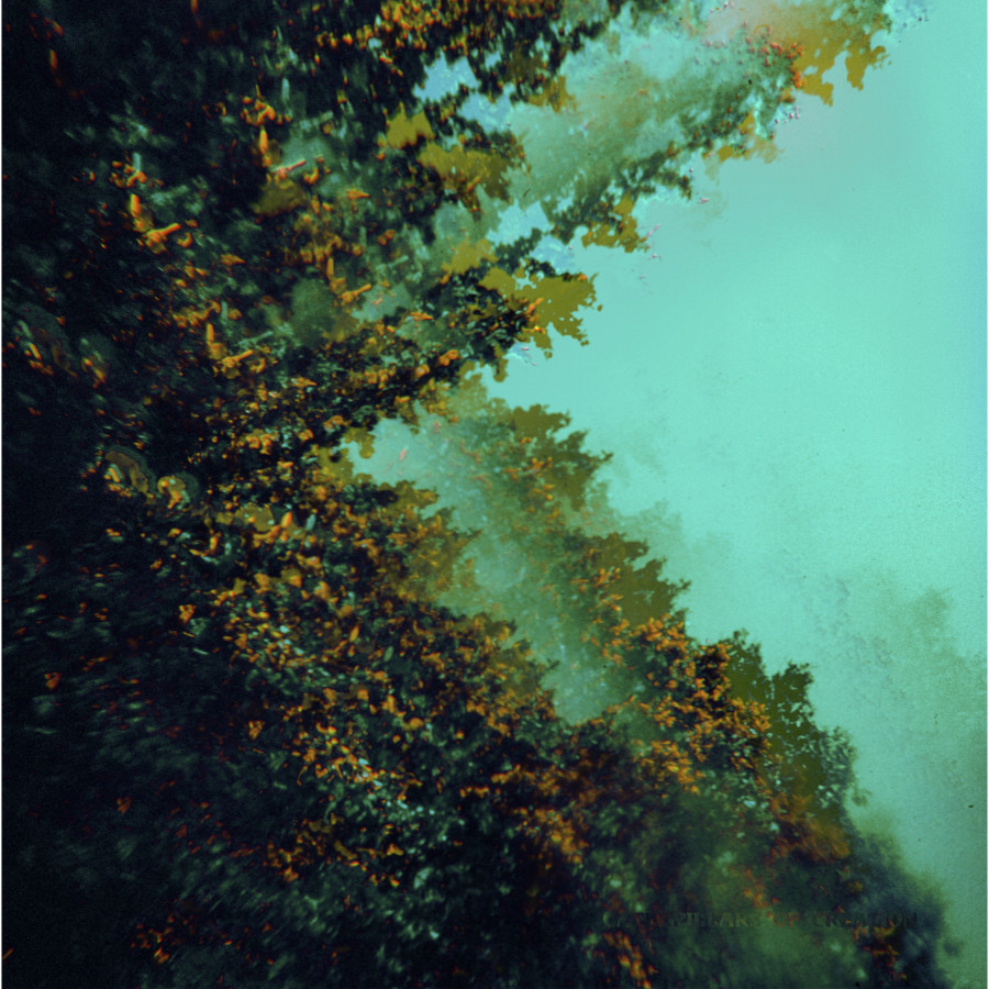Polymoon - Caterpillars of Creation