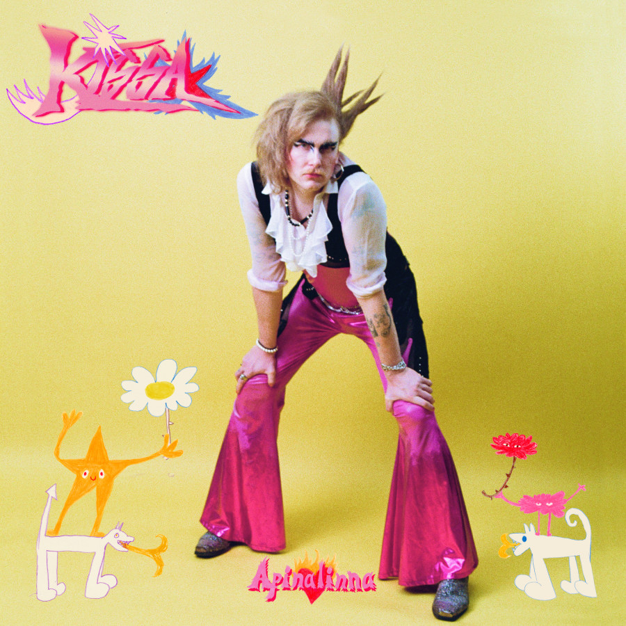 Kissa - Apinalinna